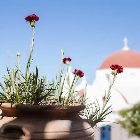 Apartman Mooi Boni's Sunset Loft *