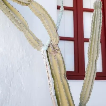 Appartement Mooi Boni's Mykonos Town