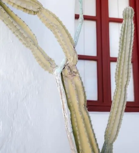 Apartamento Mooi Boni's Sunset Loft Mykonos Town