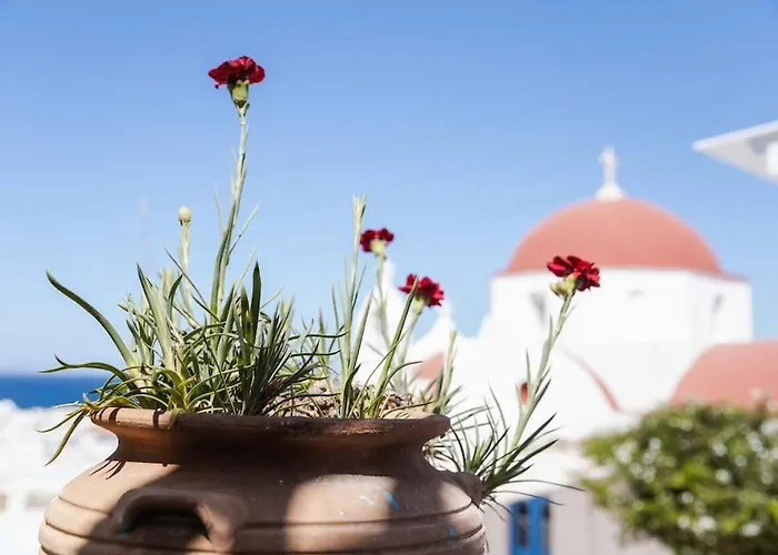 Lägenhet Mooi Boni's Sunset Loft *